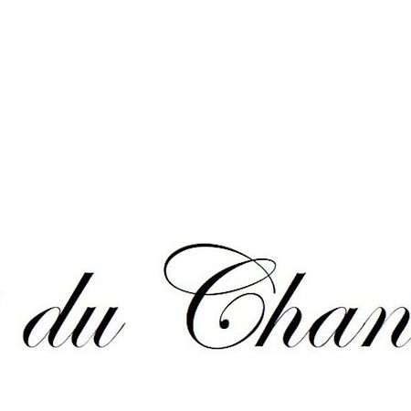 Logis Du Chandelier Le Puy-en-Velay 外观 照片